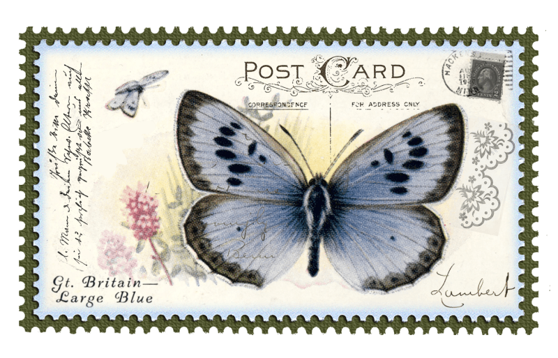 მარკები